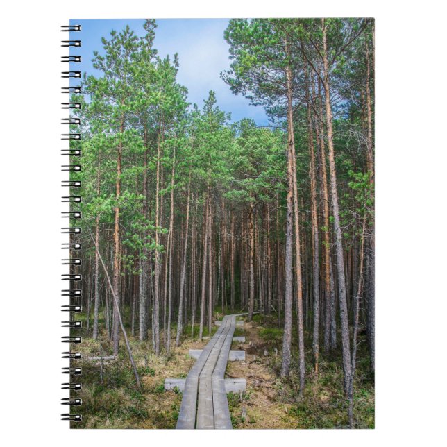 Wooden trail in pine forest notebook (Front)