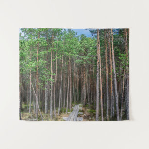 Wooden trail in pine forest tapestry