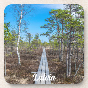 Wooden trail over swamp coaster