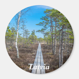 Wooden trail over swamp magnet