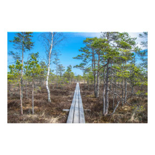 Wooden trail over swamp photo print