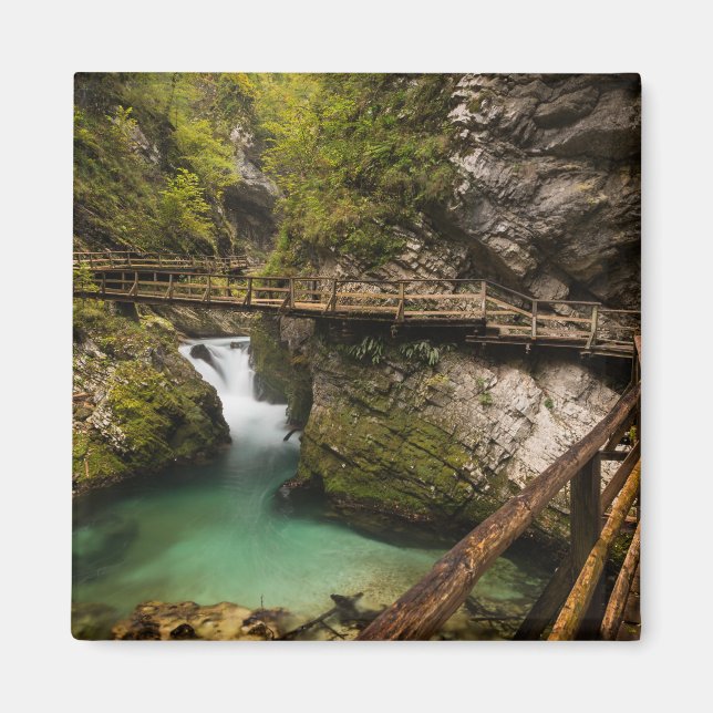 Wooden walkway through Vintgar Gorge canyon Magnet (Front)