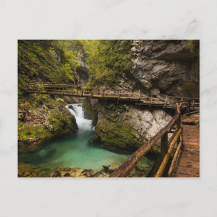 Wooden walkway through Vintgar Gorge canyon Postcard