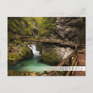 Wooden walkway through Vintgar Gorge canyon Postcard