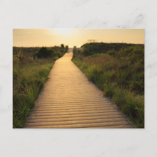 Wooden Walkway to Beach Postcard