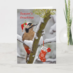 Woodie's Christmas Card