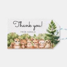 Woodland Animal Forest Friends Boy Baby Shower