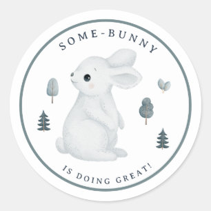 Woodland Animal Somebunny Doing Great Teacher Classic Round Sticker