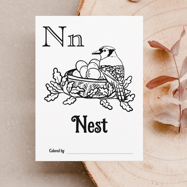 Woodland Animals ABC Colouring Baby Shower Activit Postcard (Letter N - Color Your Own Baby's First ABC's Keepsake Cards)