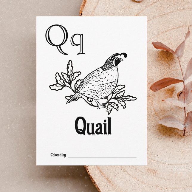 Woodland Animals ABC Colouring Baby Shower Activit Postcard (Letter Q - Color Your Own Baby's First ABC's Keepsake Cards)