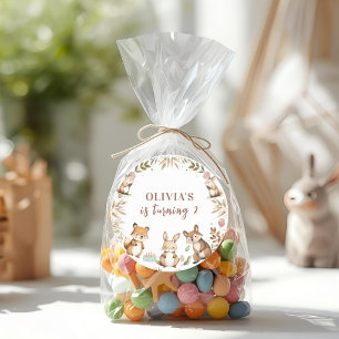 Woodland Animals Birthday Party Classic Round Sticker