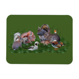 Woodland Animals Flexi Magnet