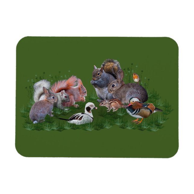 Woodland Animals Flexi Magnet (Horizontal)