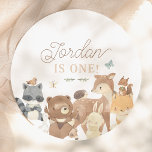 Woodland Animals Gender-Neutral 1st Birthday Party Paper Plate<br><div class="desc">Add some fun to your birthday party with these paper plates! Made to match our Woodland Animals Cute First Photo Birthday Party collection, this cute design features a delightful scene of watercolor woodland animals, including a bear, racoon, duck, hedgehog, butterflies, deer, bunny rabbit, fox, and squirrel. Click on "Personalise this...</div>
