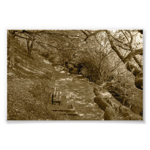 Woodland Bench at Allan Park, Sowerby Bridge Photo Print