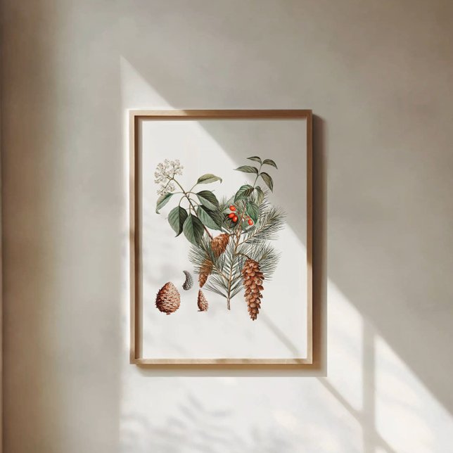 Woodland Botanical – Pine Cone and Berry  Poster (Creator Uploaded)