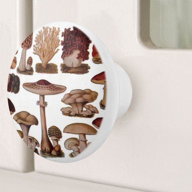 Woodland botanical print vintage mushroom ceramic knob (Woodland botanical print vintage mushroom ceramic knob)