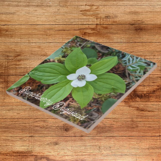 Woodland Bunchberry Dogwood Floral Tile (In Situ)