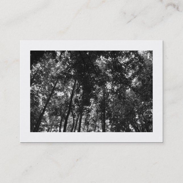 Woodland Canopy 01 BW (Bordered) Business Card (Front)