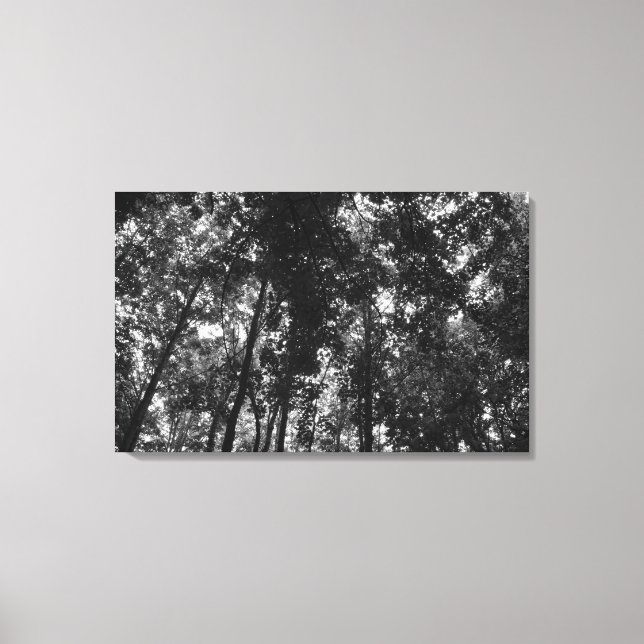 Woodland Canopy 01 BW Canvas Print (Front)