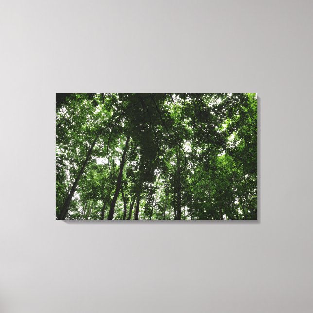 Woodland Canopy 01 Canvas Print (Front)