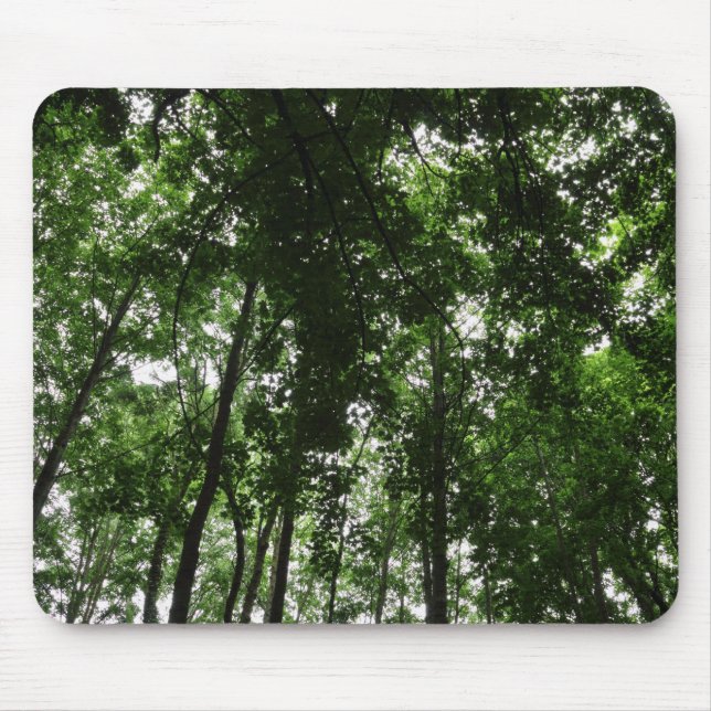 Woodland Canopy 01 Mouse Pad (Front)