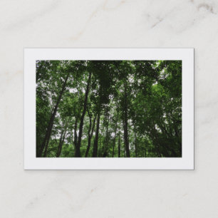Woodland Canopy 02 (Bordered) Business Card