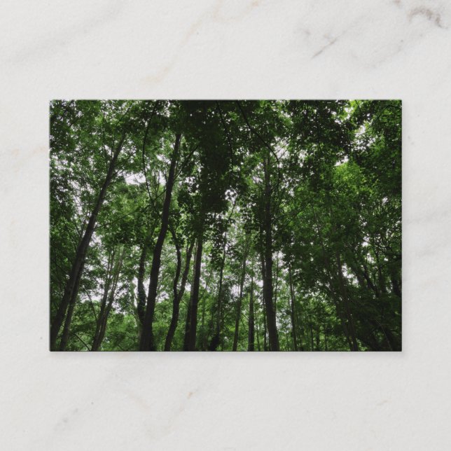 Woodland Canopy 02 Business Card (Front)