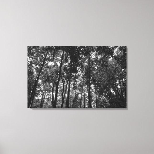 Woodland Canopy 02 BW Canvas Print (Front)