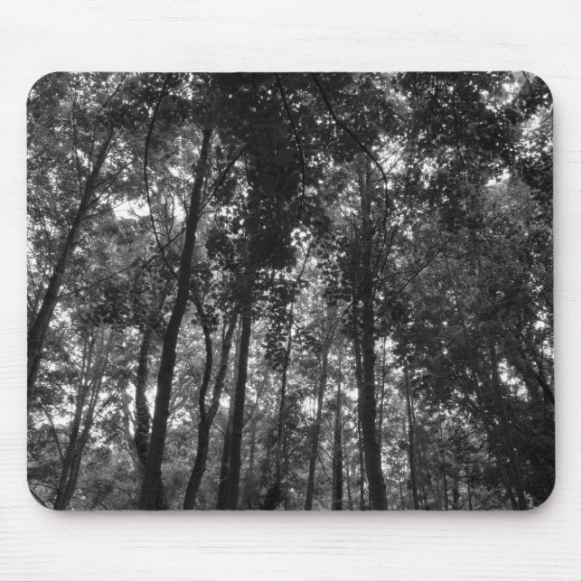 Woodland Canopy 02 BW Mouse Pad (Front)