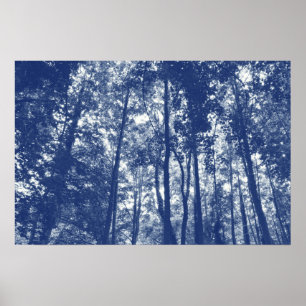 Woodland Canopy - Cyanotype Effect Poster