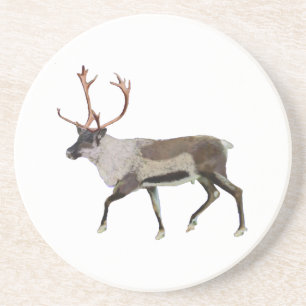 Woodland Caribou Coaster