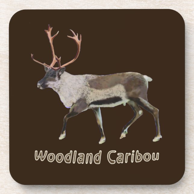 Woodland Caribou Coaster (Front)