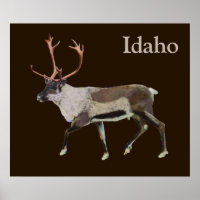 Woodland Caribou
