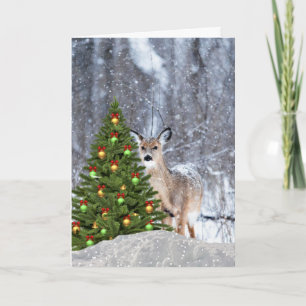 Woodland Christmas Whitetail Deer Greeting Card