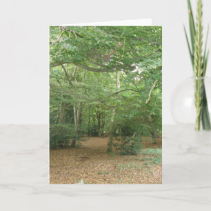 Woodland Clearing Greeting Card