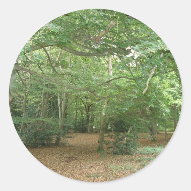 Woodland Clearing Stickers (Front)