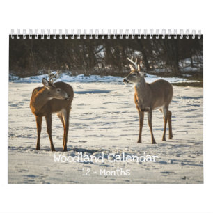 Woodland Creatures Nature  Calendar