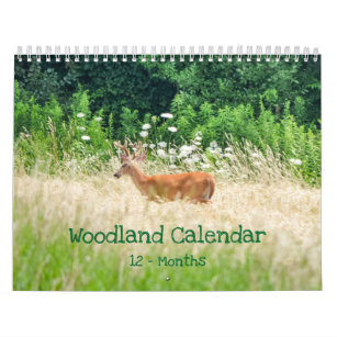 Woodland Creatures Nature Calendar