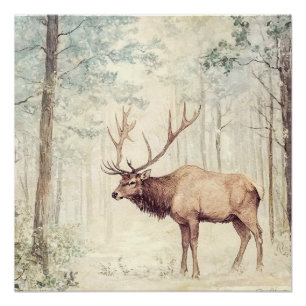 Woodland Creatures Poster