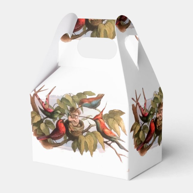 Woodland Elf in Nest: Antique Bird Sprite Fairy Favour Box (Front Side)