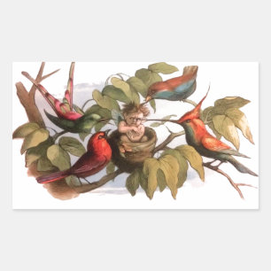 Woodland Elf in Nest: Antique Bird Sprite Fairy Rectangular Sticker