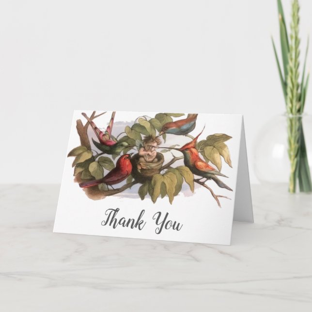 Woodland Elf in Nest: Antique Bird Sprite Fairy Thank You Card (Front)