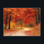 woodland fall trail postcard<br><div class="desc">woodland fall trail postcard for all occasions.  And don't forget you can customise your order.</div>