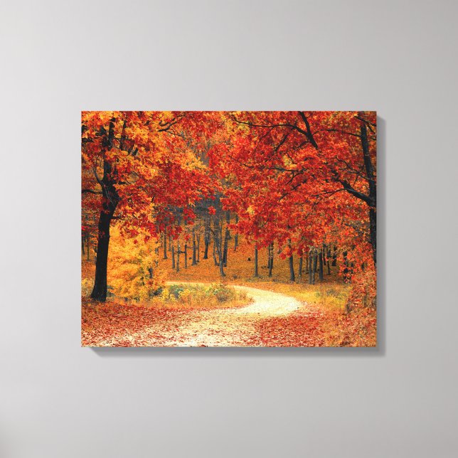 woodland fall trail wrapped canvas (Front)