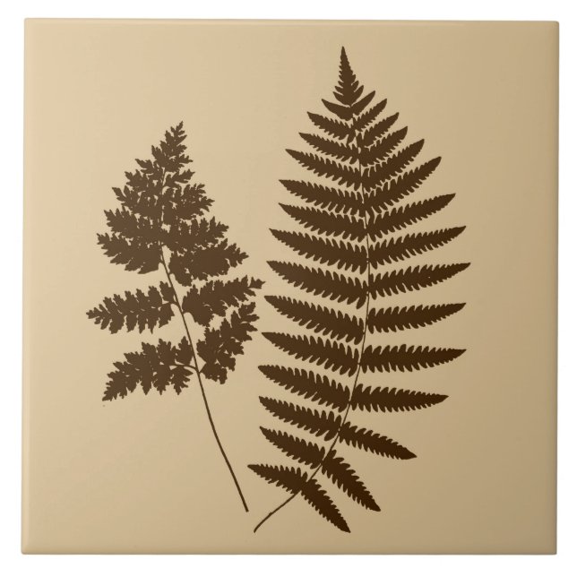 Woodland Fern, Beige and Dark Brown Tile (Front)