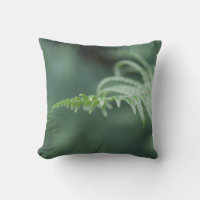 Woodland fern