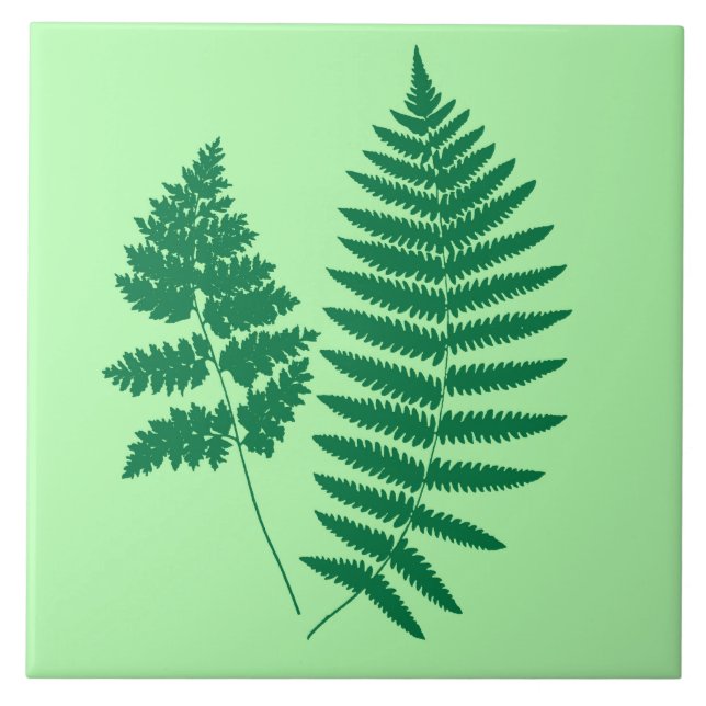 Woodland Fern, Emerald and Light Green  Tile (Front)