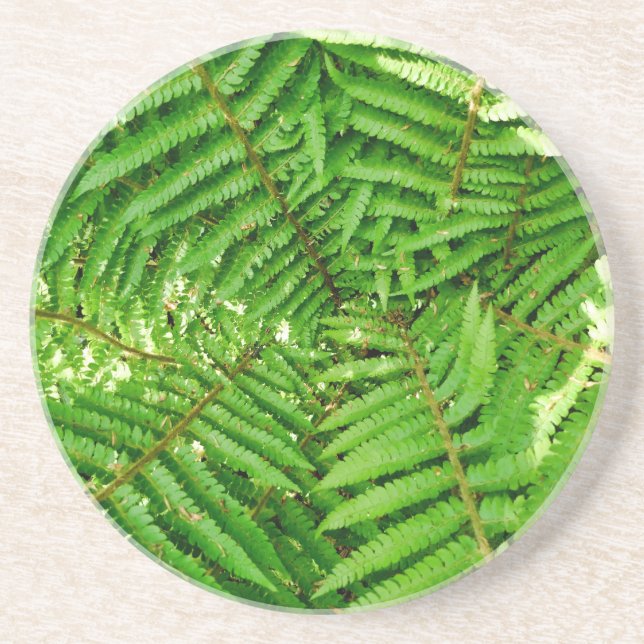 Woodland Ferns Coaster (Front)