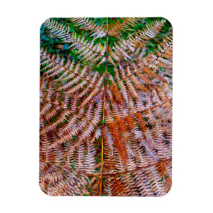 Woodland Ferns Magnet